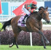 Super Easy<br>Photo by Singapore Turf Club